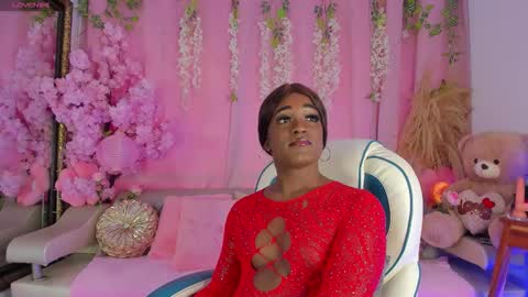 Sammy online show from 11, 11, 2025