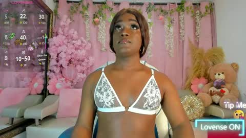 Sammy online show from 8, 4, 2026