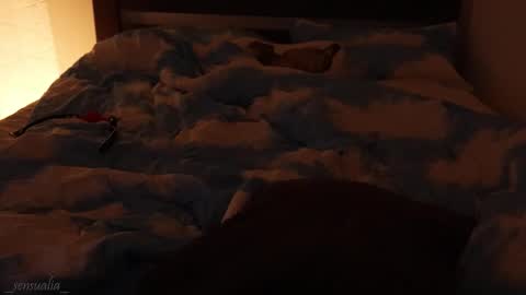 Lia online show from 9, 9, 2025