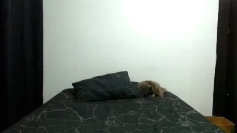 Sofia Parker online show from 13, 11, 2025