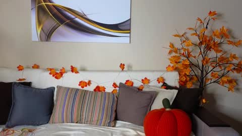 Alice online show from 6, 2, 2025