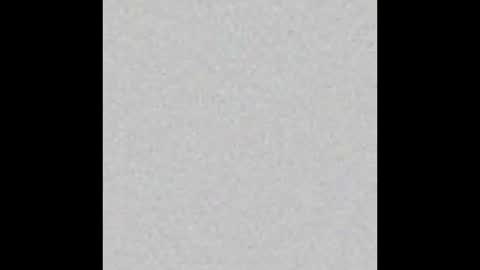    online show from 16, 11, 2025