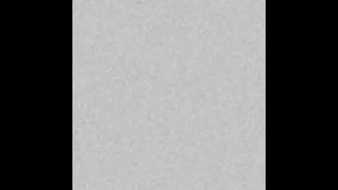 _tammarra_ online show from 10, 2, 2026