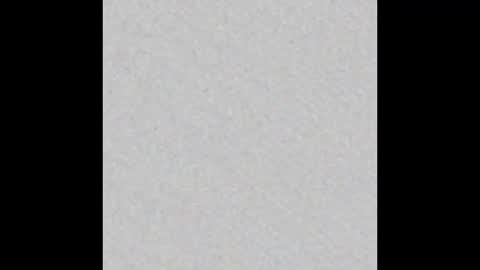 _tammarra_ online show from 19, 2, 2026