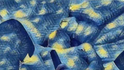 Evi online show from 11, 12, 2024