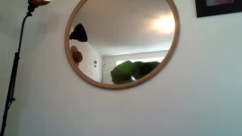 _tutti_frutti_ online show from 23, 3, 2026