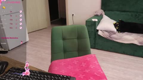 Alis online show from 30, 12, 2024