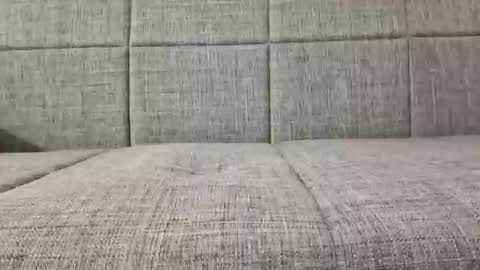 XXL online show from 6, 4, 2026