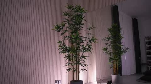 Alexa online show from 23, 1, 2025