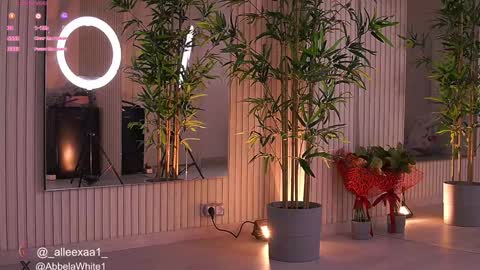 Alexa online show from 4, 2, 2025