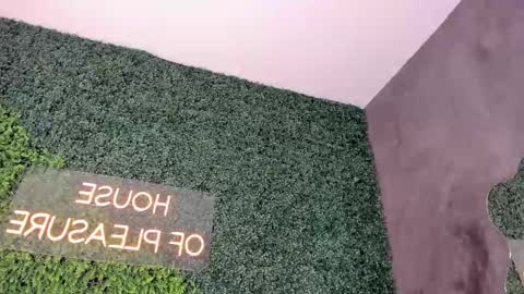 A B B Y online show from 19, 2, 2025