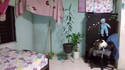 Snapshot of abbyasher chatting on 3, 2, 2025 Abby online show from 3, 2, 2025