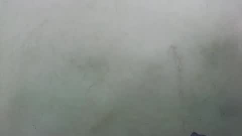 Snapshot of abella677022 chatting on 16, 2, 2026 abella677022 online show from 16, 2, 2026