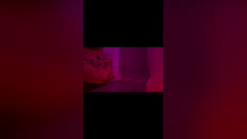 abigrace online show from 10, 4, 2026