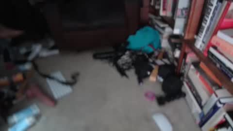 aCACiAs2022 online show from 1, 3, 2026