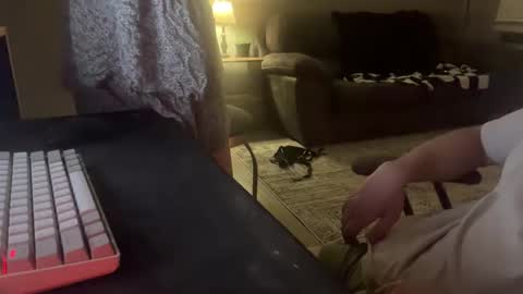 Remi and Ace online show from 26, 4, 2026