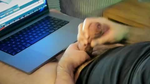 Snapshot of achtinch chatting on 15, 1, 2026 ACHTINCH online show from 15, 1, 2026