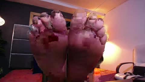 adam_fit19cm online show from 6, 4, 2026