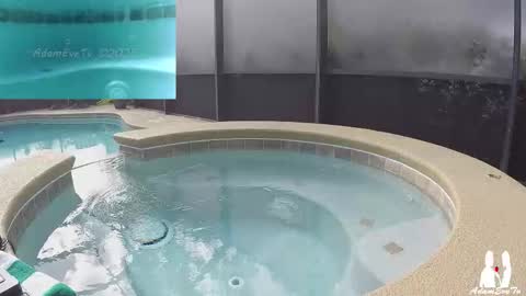 Adam And Eve online show from 29, 11, 2025