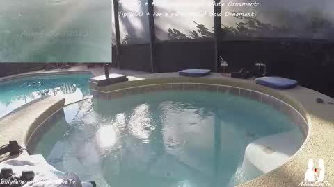 Adam And Eve online show from 20, 12, 2025