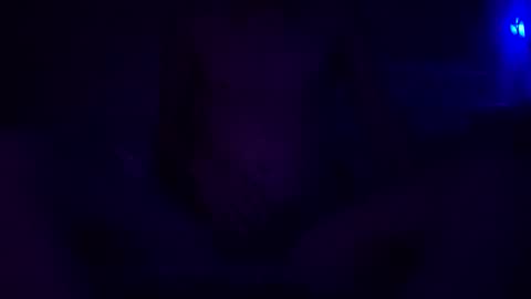 adamllamas online show from 30, 12, 2024