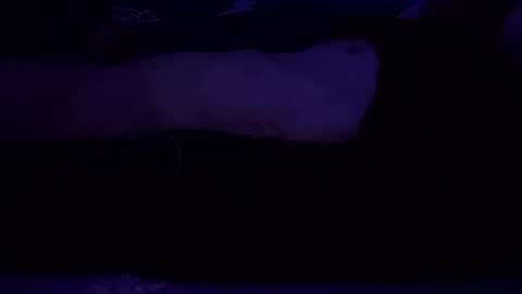 adamllamas online show from 8, 3, 2025