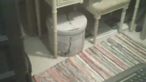 Snapshot of adamsny chatting on 4, 11, 2025 adamsny online show from 4, 11, 2025