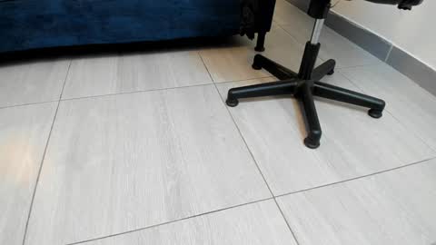 adbel sady online show from 27, 12, 2024