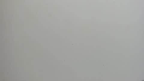 adbel sady online show from 15, 1, 2025