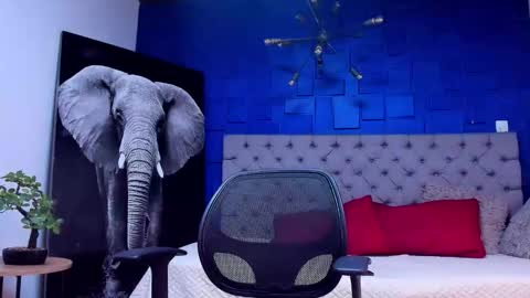   online show from 10, 9, 2025