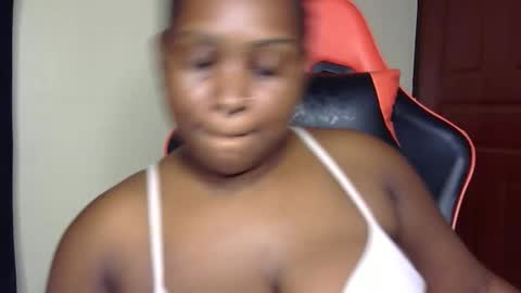 stella online show from 8, 4, 2026