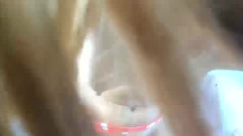 aisha_violeht online show from 25, 2, 2026