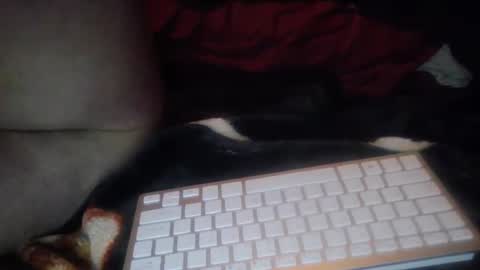 aken4it online show from 17, 10, 2025