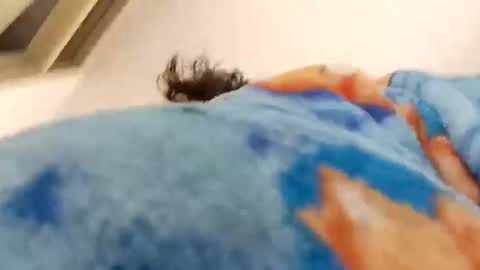 isabella online show from 15, 12, 2025