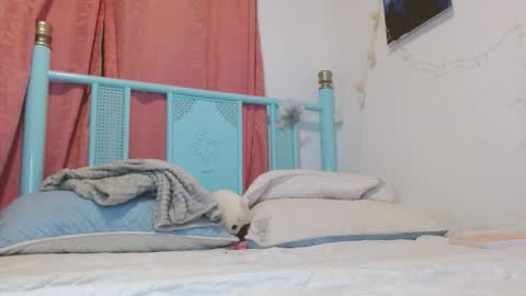 Alaska online show from 23, 12, 2025