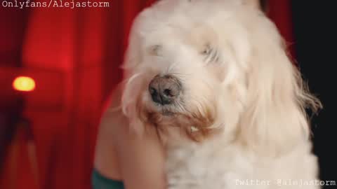 Alejandra online show from 26, 2, 2026