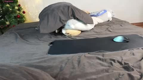 Alena online show from 6, 1, 2026