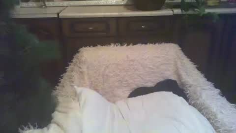 Snapshot of alenablack chatting on 5, 1, 2025 Luly online show from 5, 1, 2025