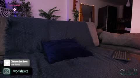 Alex Wolf online show from 16, 1, 2025