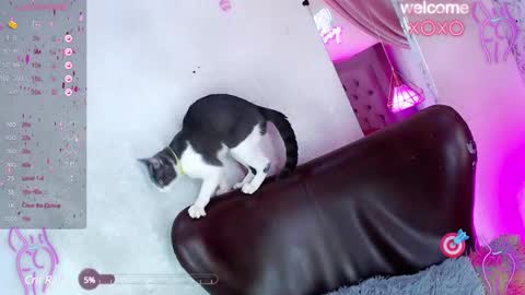 Snapshot of alexandra_evanz chatting on 27, 1, 2025 Alexandra Spellman online show from 27, 1, 2025