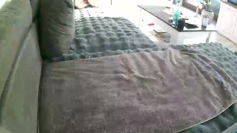 Doggystyle online show from 10, 1, 2026