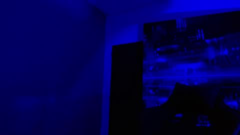 alexgiraldo__ online show from 3, 5, 2026