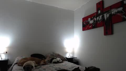 cami online show from 12, 3, 2025