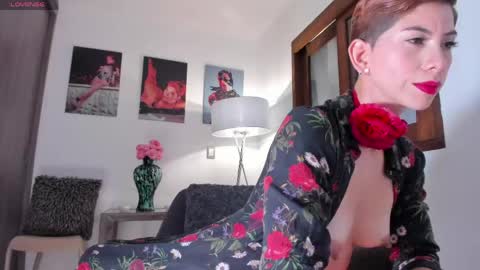 Alice  online show from 24, 5, 2026