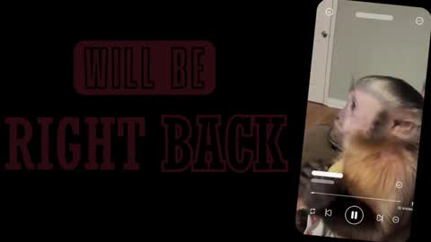 Sofia online show from 2, 3, 2026