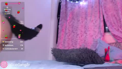 Snapshot of alicedang3r chatting on 15, 12, 2024 Alice online show from 15, 12, 2024