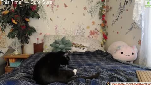 Snapshot of aliceriverscam chatting on 18, 1, 2025 Alice Rivers ---- Enter my public Discord- online show from 18, 1, 2025