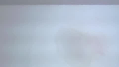     online show from 11, 9, 2025