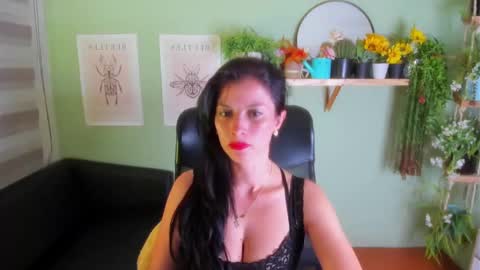Camii online show from 26, 12, 2024