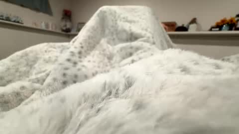 aliosis1 online show from 20, 4, 2026